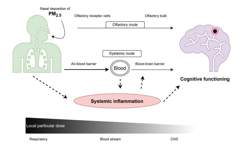 AirPollution Cognition by Aretz et al