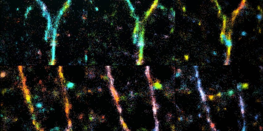 Amyloid beta fibrils undergoing remodeling Lew Lab WashUni