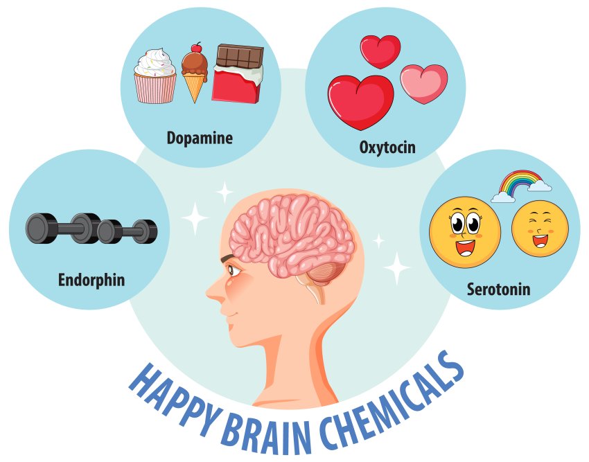 Brain chemicals by brgfx on Freepik
