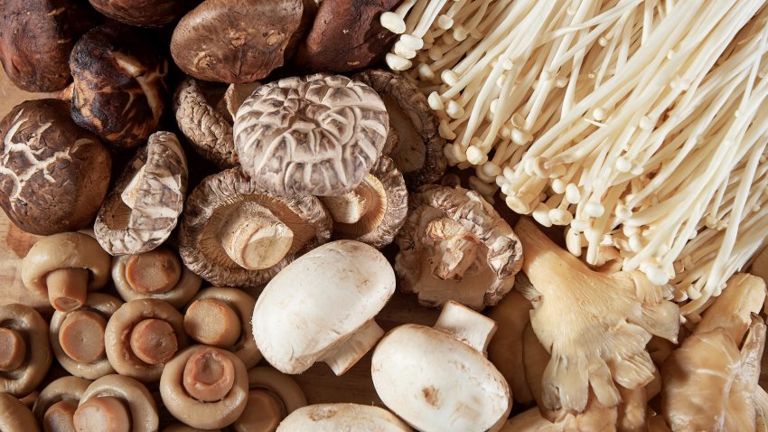 Mushrooms of several qualities