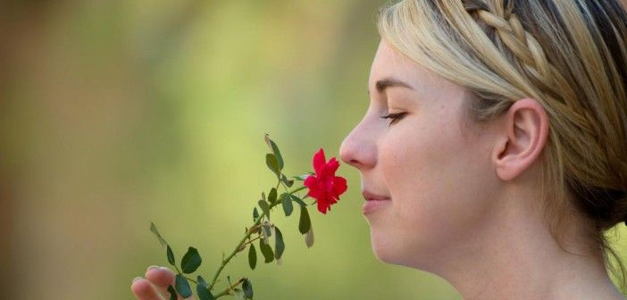Woman smelling a flower by Andy DeLisle