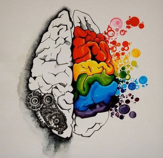 brain colours alzheimer
