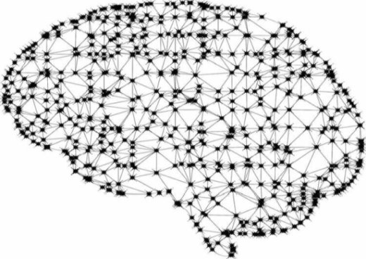 Raro studio in vivo mostra la forte influenza dei nodi cerebrali deboli sulla memoria