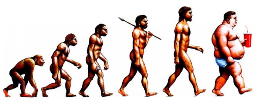 evolution of obesity2