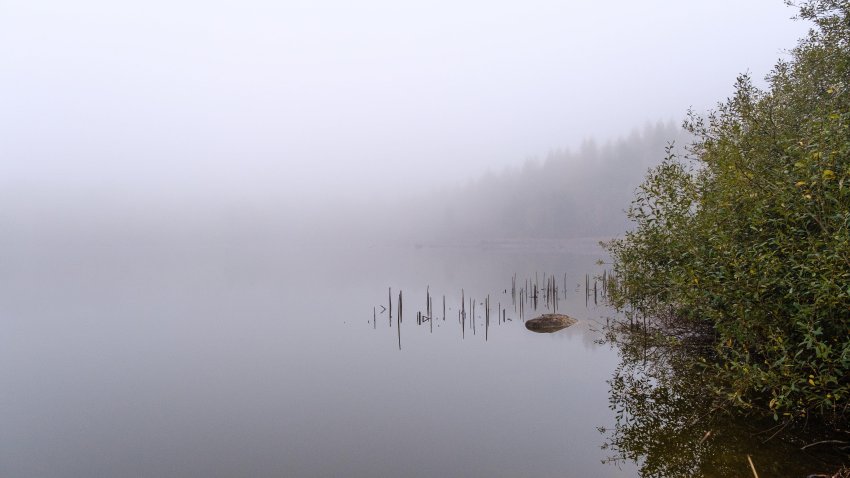 foggy sea 