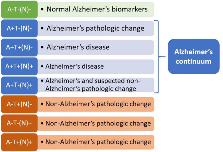 Nuova definizione dell'Alzheimer cerca di favorire la ricerca di una cura